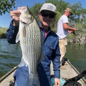 Meet your Posher, Alan